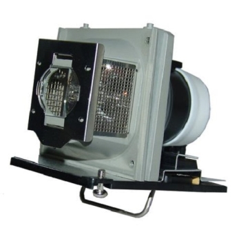 Acer EC.J4800.001 Projector Replacement Lamp 